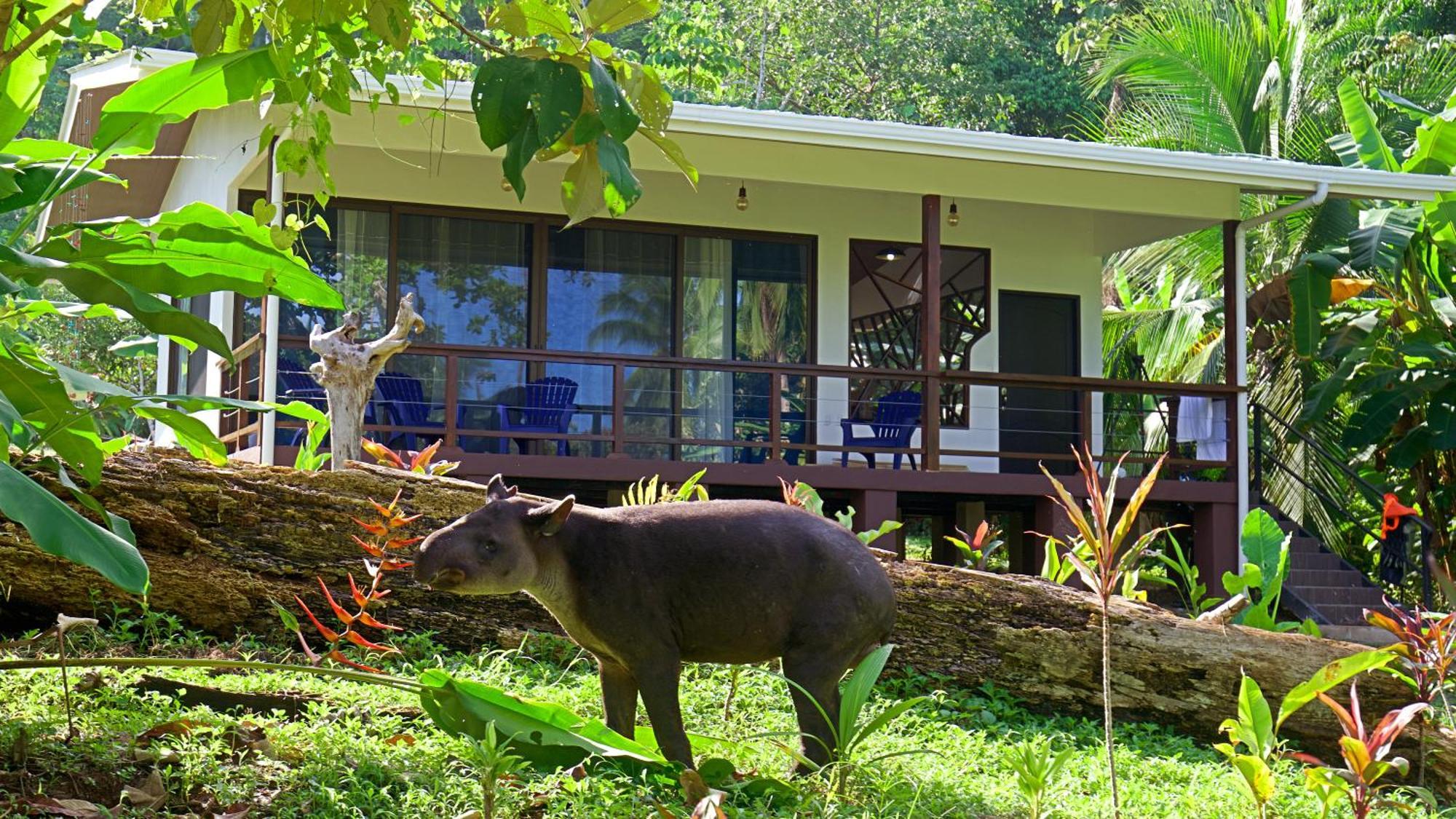 Eden Corcovado Villa San Pedrillo ภายนอก รูปภาพ