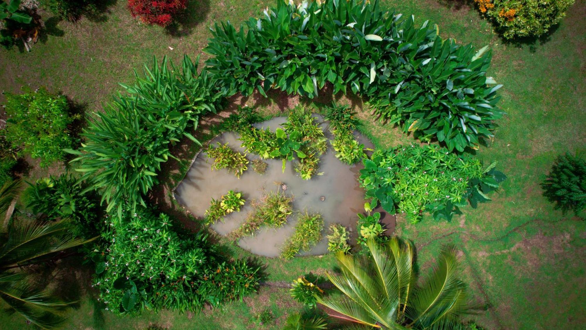 Eden Corcovado Villa San Pedrillo ภายนอก รูปภาพ